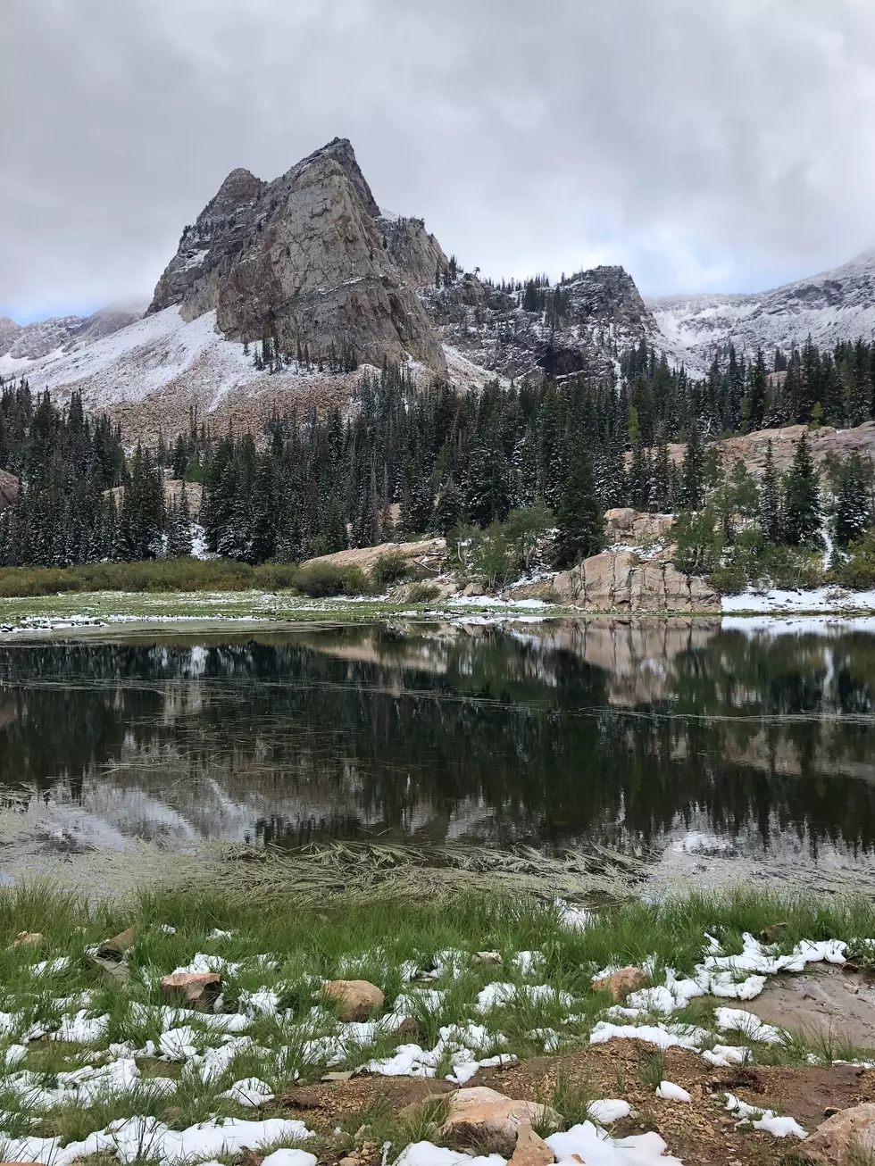 Photo/Collin Rose on Unsplash