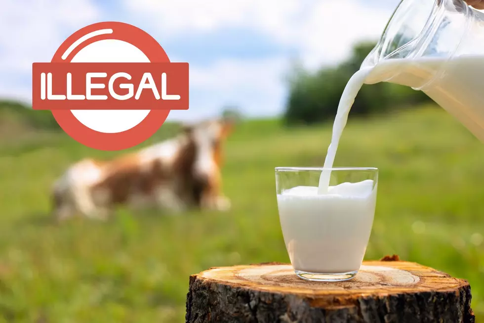 Is It Illegal To NOT Drink Milk In Utah???
