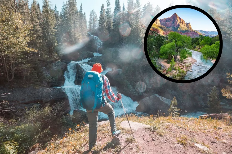 Best Waterfall Hikes In Utah You Won’t See Until Next Summer