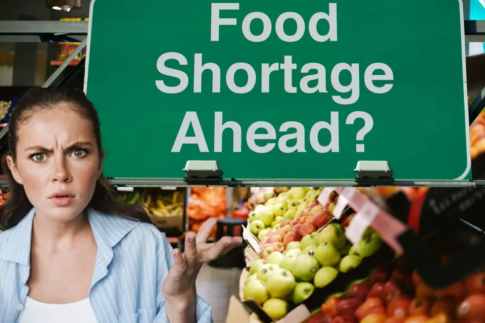 10 Food Shortages Utah And Nevada Need To Know About ASAP